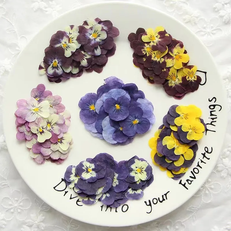 All'ingrosso fiore pressato a secco pressato Viola tricolore essiccato pressato Pansy per fai da te cassa del telefono Nail Art gioielli decorazione cartolina