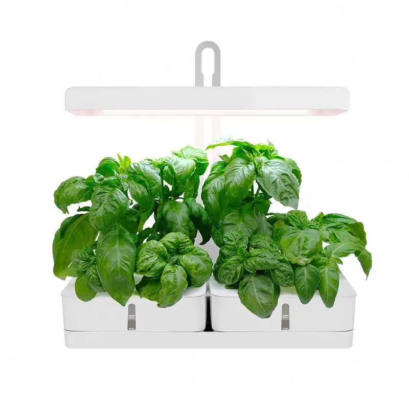 J & C Minigarden kapalı bitki yetiştirme lambaları tohumlar için mutfak herb bahçe ışık 2022