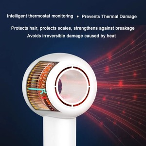 Secador de Pelo Profesional con Iones Negativos, Electrodoméstico para el Cuidado del Cabello con Temperatura Constante, Secado Rápido y Gran Potencia - Product Image 6