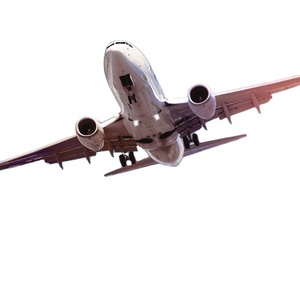 Envío Aéreo FBA DDP, Los 10 Mejores Transitarios de China a Estados Unidos, Entrega Puerta a Puerta, Doble Despacho de Aduanas, Impuestos Incluidos, Económico, 7-15 Días - Product Image 3