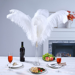 <span class=keywords><strong>Piume</strong></span> <span class=keywords><strong>di</strong></span> struzzo grandi all'ingrosso per centrotavola <span class=keywords><strong>di</strong></span> matrimoni, decorazioni per tavoli, <span class=keywords><strong>piume</strong></span> <span class=keywords><strong>di</strong></span> struzzo <span class=keywords><strong>bianche</strong></span> naturali sfuse - Product Image 1