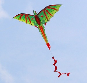 Nouvelle arrivée 3D <span class=keywords><strong>de</strong></span> haute qualité <span class=keywords><strong>Dragon</strong></span> Kite Toys - Product Image 3