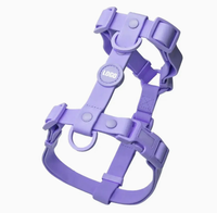 Produits pour animaux de compagnie 2025 Harnais pour chien en PVC personnalisé en usine Imperméable Facile à nettoyer Veste pour animaux de compagnie en PVC souple Durable pour les chiens Promenade sur la plage
