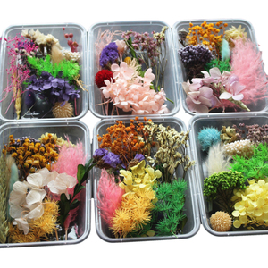 Planktonic flower Mixed with Dried Flowers and Preserved Flowers