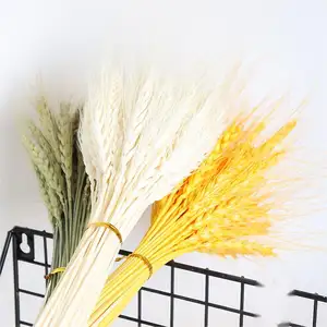 Precio de fábrica, ramo de 50 tallos, hierba de trigo, flores secas, tallos de trigo secos naturales dorados blancos para la decoración del banquete de boda del hogar