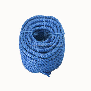 Corde en PE <span class=keywords><strong>anti</strong></span>-âge, résistante aux fissures, flexible et robuste pour la fixation de filets de pêche, la suspension en aquaculture et l'agriculture - Product Image 3