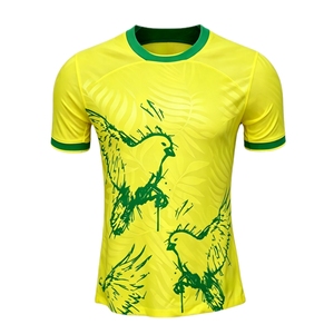 Maillot de football vierge personnalisé 2026 Samba Canary Edition Master Grade, motif oiseau jaune-vert, haute fidélité, maillot de match - Product Image 2