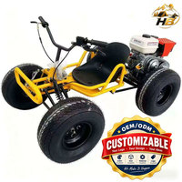 Kart à pédales pour adultes personnalisable avec moteur refroidi par air de 212 cm3, réservoir de carburant de 3,5 L, frein à disque hydraulique arrière pour pistes extérieures