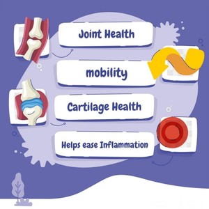 Nhanh chóng vận chuyển thúc đẩy sụn phát triển Pet chăm sóc sức khỏe & bổ sung Dog Treats máy tính bảng cho pet sức khỏe doanh - Product Image 6