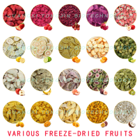 Gedroogd fruit: aardbei, framboos, mango, jackfruit, vijg, kiwi, perzik, banaan, passievrucht, diverse knapperige gedroogde vruchten te koop