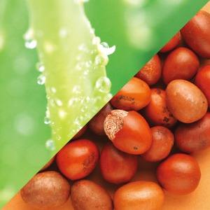 Loción para Bebés Japonesa 100ml Aceite de Caballo y Manteca de Karité Orgánica para Rostro y Cuerpo Sin Fragancia Segura para Recién Nacidos Madonna - Product Image 6