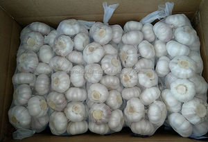 1 bag torba X 10 10Kg karton taze sarımsak - Product Image 6