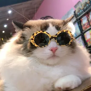 Good Price Fashion Pet Cat Dog Animal Toy Accessory Cute Plastic PC Eyewear Sunglasses For Dog Cat