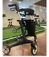 Pabrik Harga Murah aluminium 4 roda walker roller lipat roller aluminium