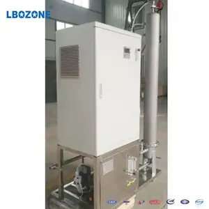 Custom Stainless Steel Oxygen Feeding Ozone Generator Ozonizer Purifying Machine For Water Sterilization