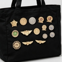 Broche d'emblème ailé personnalisée avec autocollant époxy pour club d'aviation, accessoire léger pour collectionneur, fourni par le fabricant
