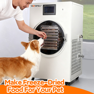 جهاز تجفيف بالتجميد صغير من WEFLY الصينية بسعة 6 كجم موفر للطاقة معدات تجفيف بالتفريغ لمعالجة الأغذية متوافق مع 220 فولت/110 فولت - Product Image 2