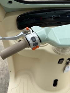 Triciclo Eléctrico Premium Surrit con Asiento Trasero para Pasajeros, Mototaxi Eléctrico Tuk Tuk para Transporte Turístico - Product Image 5