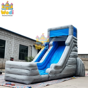 Toboggan gonflable d'intérieur pour centres de jeux, PVC ignifuge de 0,55 mm, sûr et compact pour les espaces restreints - Product Image 1