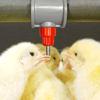 Abreuvoir automatique sans fuite LM140 pour volailles, poulets de chair et poules pondeuses