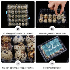 Wholesale Brand-new PET Disposable <strong>Egg</strong> Tray 15 Grid Quail <strong>Eggs</strong> Packaging <strong>Box</strong> Multiple Models extra Thick - Product Image 3