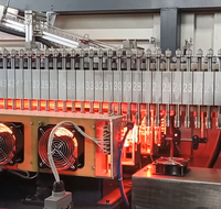 2,4 cavité 5000ml machine de soufflage de bouteilles prix du plastique pour animaux de compagnie