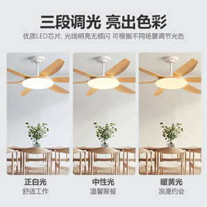 <b>Ceiling</b> <b>Fan</b> Light With Led 5 Blade Integrated <b>Fan</b> For Living Room Home Use - Product Image 4