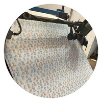 Nouveau Tissu en Velours Doux Imprimé à Faible MOQ 2025 – Textile Teint pour Canapé et Vêtement