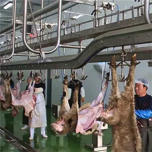 Musulmán cordero de sacrificio línea con carne de cabra de corte de procesamiento de carnicero matadero equipo - Product Image 1