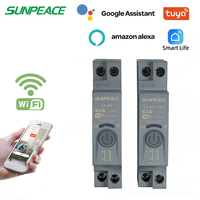 Disjoncteur intelligent Wi-Fi 1P Smart Home Life Mini MCB 0-63A avec compteur d'énergie en cuivre et surveillance de la consommation kWh, relais temporisé