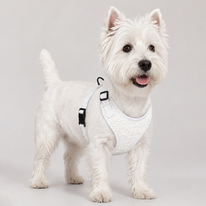 Princess-style lace <b>pet</b> <b>harness</b> and leash set (3 pieces) for small and medium-sized dogs. - Product Image 1