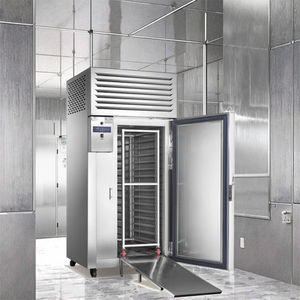 Apparecchiature per il congelamento dei frutti di mare senza scosse del refrigeratore rapido <span class=keywords><strong>IQF</strong></span> per la refrigerazione e il congelamento del processo di refrigerazione - Product Image 4