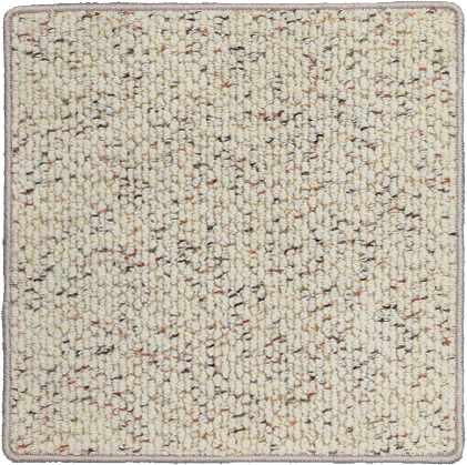 สีดำสีกากี