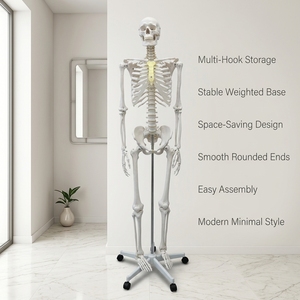 Modèle <span class=keywords><strong>de</strong></span> <span class=keywords><strong>squelette</strong></span> humain grandeur nature 180 cm pour l'enseignement <span class=keywords><strong>de</strong></span> l'anatomie avec bras et jambes amovibles - Product Image 1