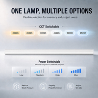 Tube lumineux LED à CCT sélectionnable, puissance réglable, luminaire de plafond pour l'éclairage des couloirs de bureau