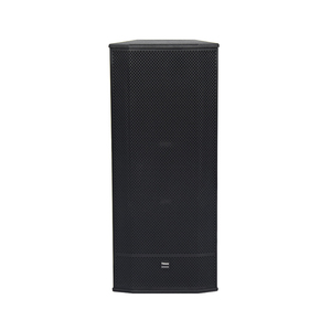 Thinuna T-153-DWP Dual 15 Zoll Outdoor Aktiv-Fullrange Professionelles Audiolautsprechersystem mit DSP-Verstärkermodul - Product Image 1