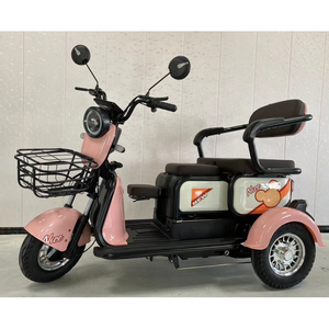 Triciclos Eléctricos Populares de 600W, Motocicleta Triciclo, Triciclos de Bajo <span class=keywords><strong>Precio</strong></span>, <span class=keywords><strong>Trimoto</strong></span> - Product Image 5