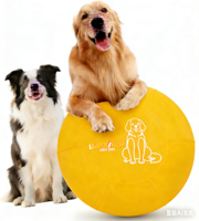 Housse de protection robuste et imperméable en nylon 1680D 2520D pour ballon de yoga pour chien et cheval avec double fermeture éclair YKK