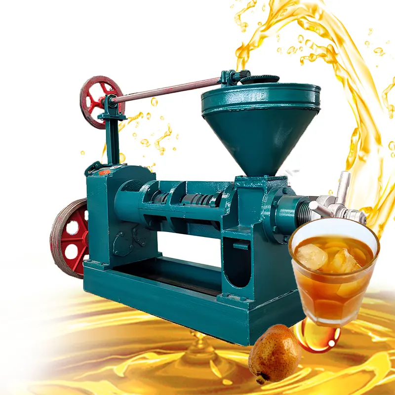 Filtre-presse à huile de palme automatique pour olive pour la maison Caisse en bois Machine de fabrication d'huile de noix de coco fournie Gerui 1 Set 200