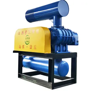 OEM Industry Using Roots High-Pressure Electric Blower Vacuum Pump 220V Boiler Exhaust Industrial Blower