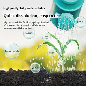Fertilizante Orgánico Especial de Espinaca de Agua Xinnongyou para Jardines Pequeños, Granulado, Sin Hormonas, Sin Residuos - Product Image 3