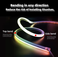 Bande LED néon RGB noire créative 24V en silicone flexible pour l'éclairage immersif des expositions numériques