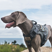 Harnais tactique Molle robuste avec système Molle, en tissu Oxford anti-traction, maille 3D et sangle en nylon pour chien de grande taille