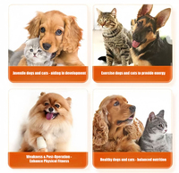Probiotiques en comprimés à croquer pour chiens et chats, marque privée, prébiotiques, compléments alimentaires pour la santé des animaux de compagnie