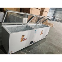 Congélateur de présentation solaire à température unique pour supermarché avec porte vitrée pour le stockage de la crème glacée
