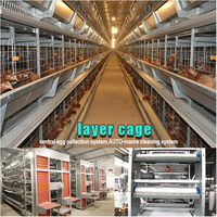 Équipement pour volaille Cage automatique pour poules pondeuses à 4 niveaux Cage pour volailles ramassant des œufs de poule Cage pour poules pondeuses pour nouvelle ferme