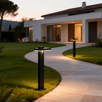Lampe solaire LED pour pelouse, utilisation extérieure, durable, lumière blanche chaude, éclairage de chemin, indice de protection IP54, construction en aluminium, portable, à intensité variable