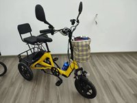 Scooter de mobilité pour adultes pour personnes âgées tricycles électriques pliants au lithium à prix d'usine
