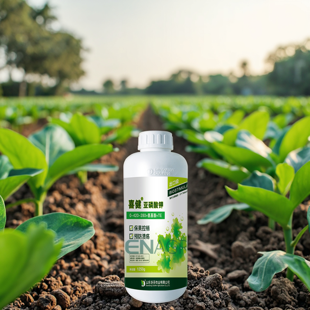 Wholesale Potassium Phosphite Liquid Fertilizer 0-520-340