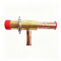 Compresseurs semi-hermétiques à piston à pression constante avec bypass de gaz chaud en cuivre SAV60 R404A pour climatiseurs et pièces de réfrigération